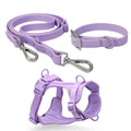 Purple Paws For Royalty waterproof PVC dog leash, durable and chew-resistant leash for small and medium-sized dogs, designed for daily walks and outdoor adventures.