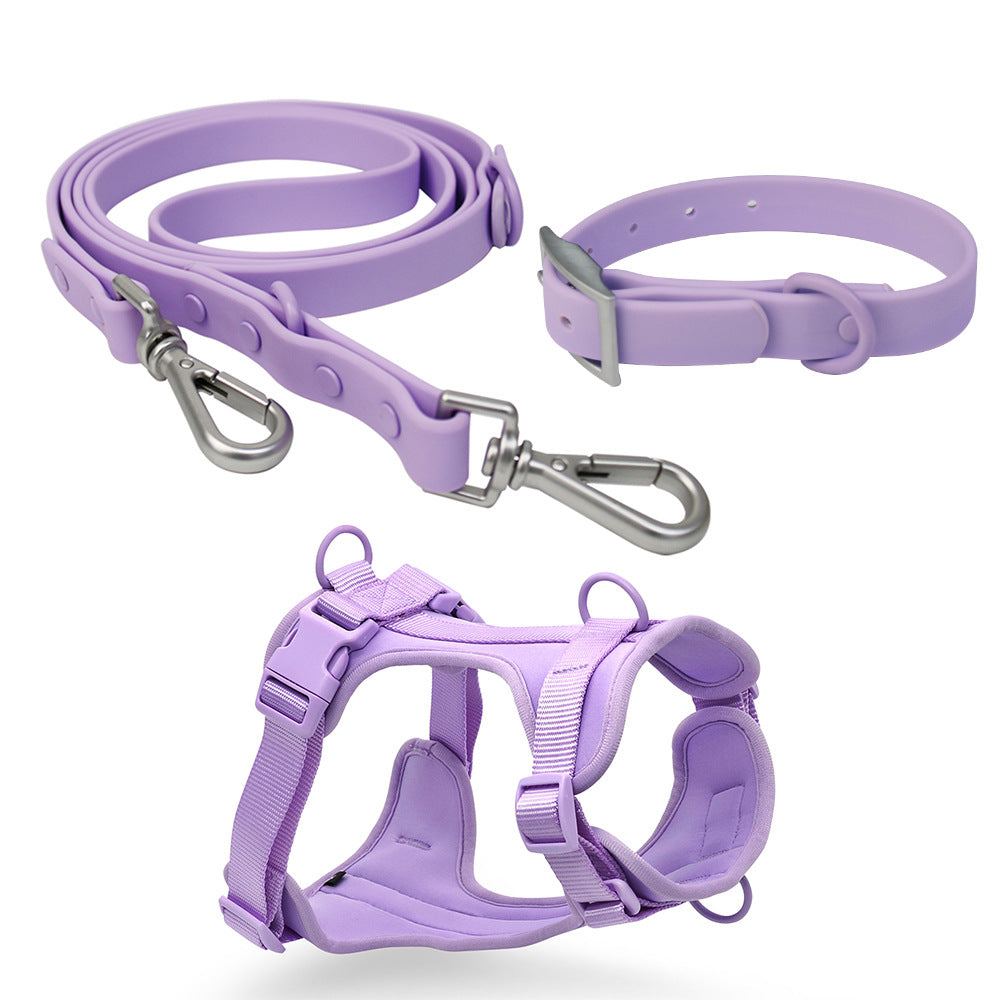 Purple Paws For Royalty waterproof PVC dog leash, durable and chew-resistant leash for small and medium-sized dogs, designed for daily walks and outdoor adventures.