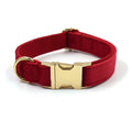 Personalized red velvet dog collar with custom engraved nameplate and gold-tone hardware