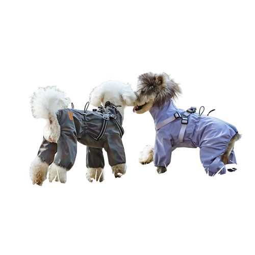 Two dogs wearing purple and gray waterproof raincoats for rainy weather protection
