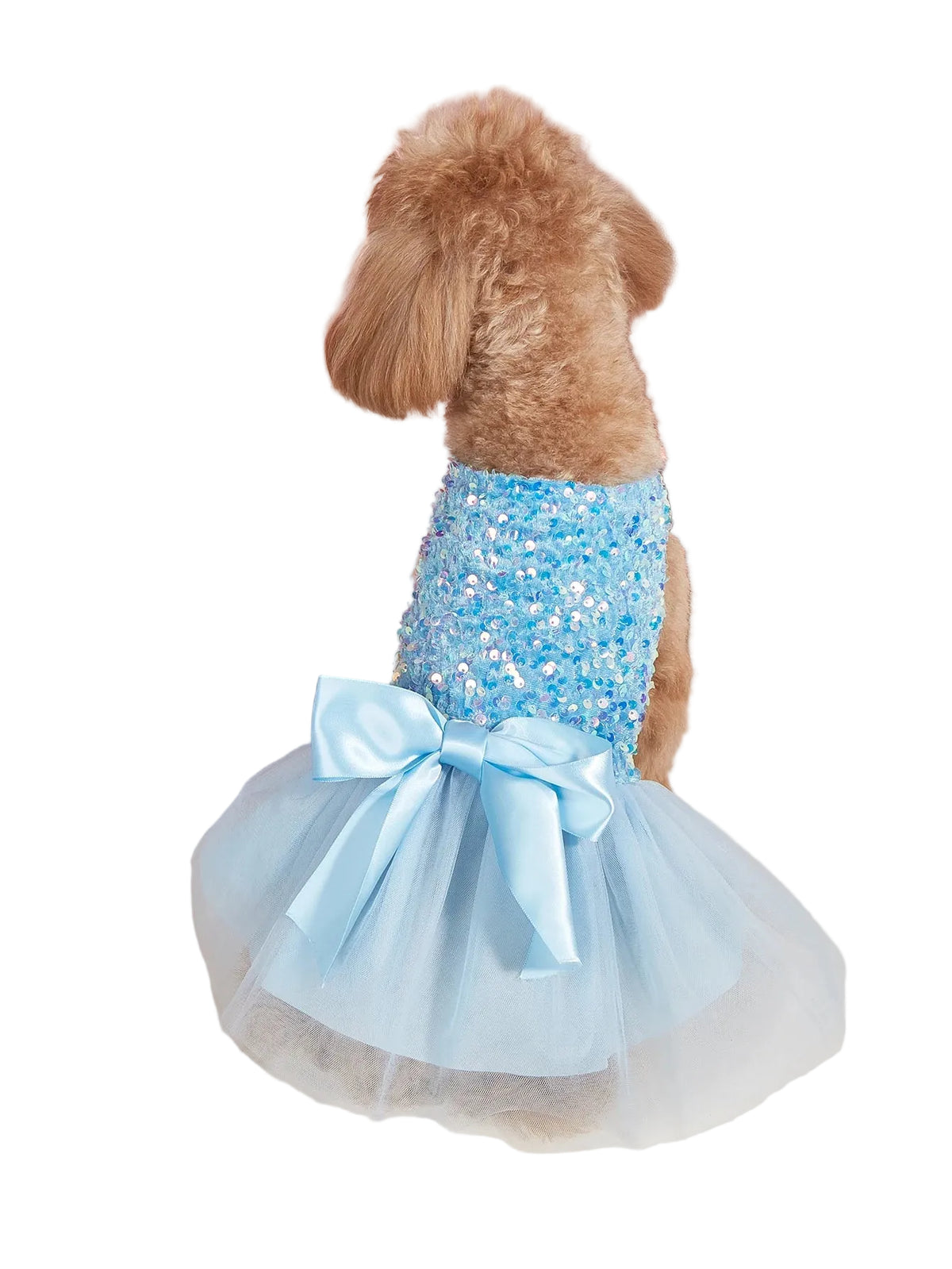 Small dog wearing a blue princess sequin dog dress featuring sparkling sequins and a full tulle skirt for elegant celebrations