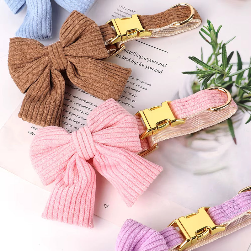 <p><strong>Colorful Dog Accessories</strong></p>
