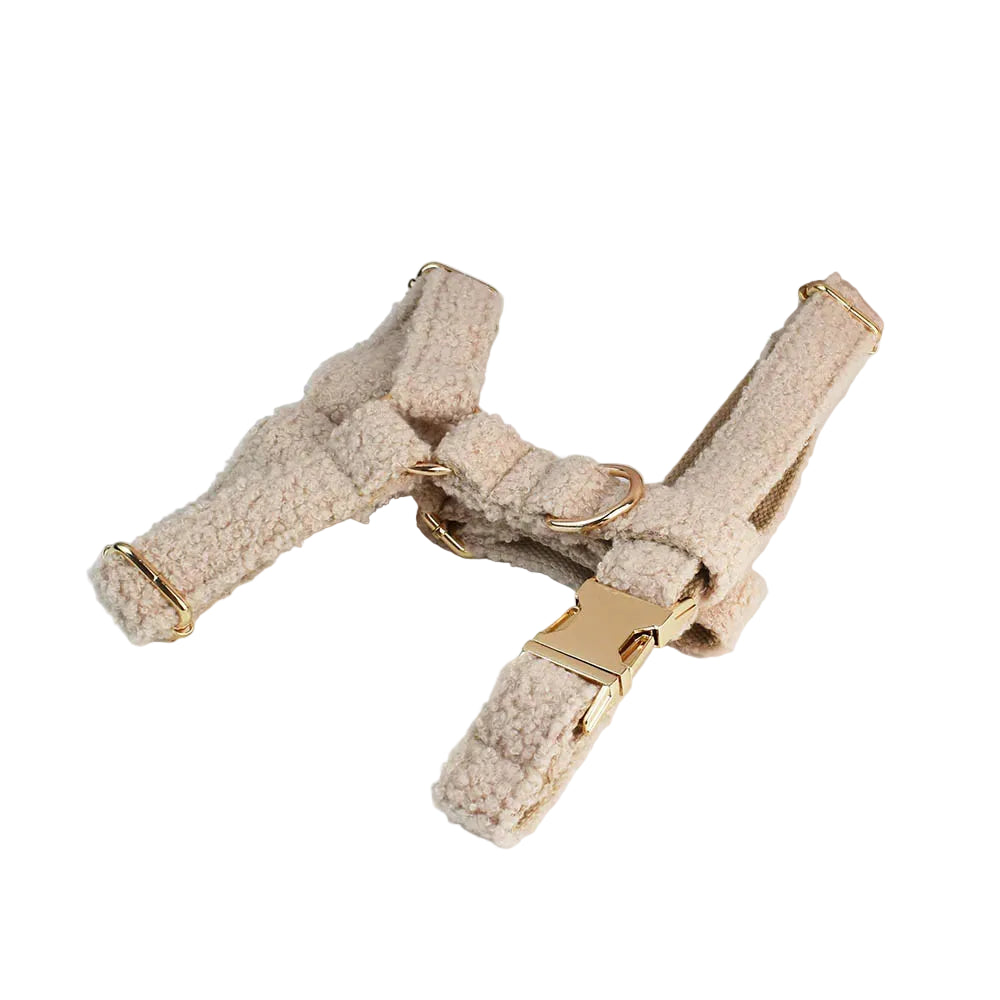 Small dog wearing teddy velvet set
