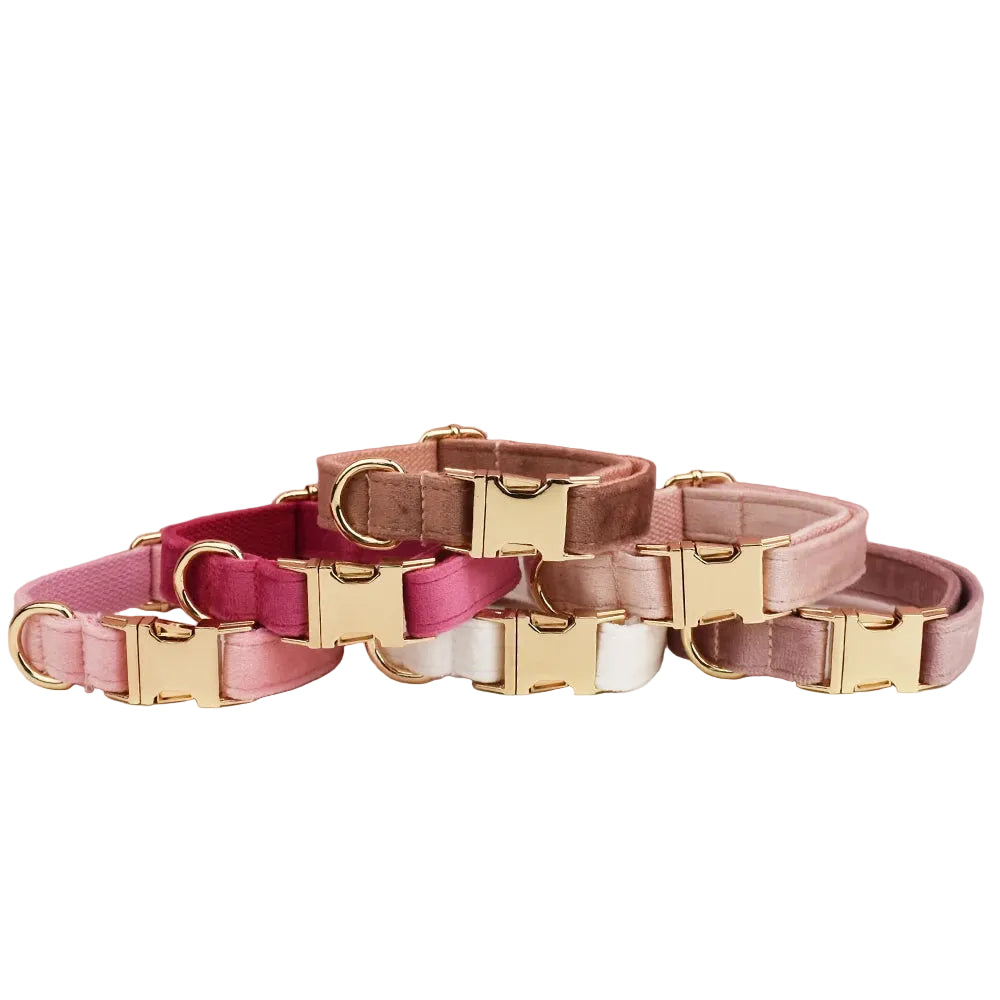 Paws For Royalty personalized velvet dog collar and leash set available in multiple elegant colors for small pets