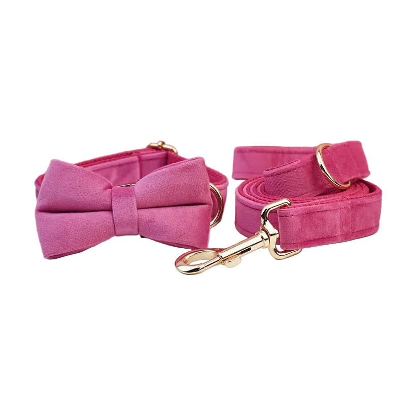 Rose red velvet dog bow tie and matching leash accessory for elegant everyday walks and special occasions