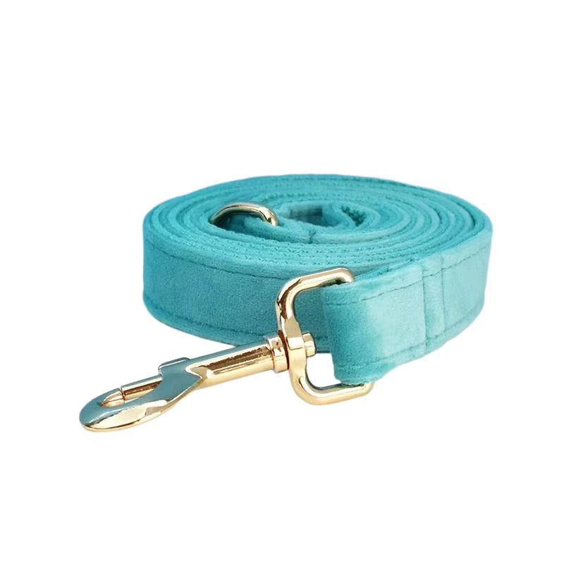 Matching leash for turquoise velvet set