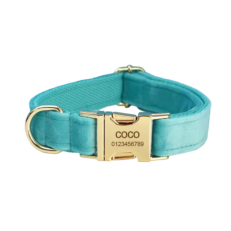 Boutique turquoise velvet dog collar for Chihuahua, Yorkie, Pomeranian, and other small dogs