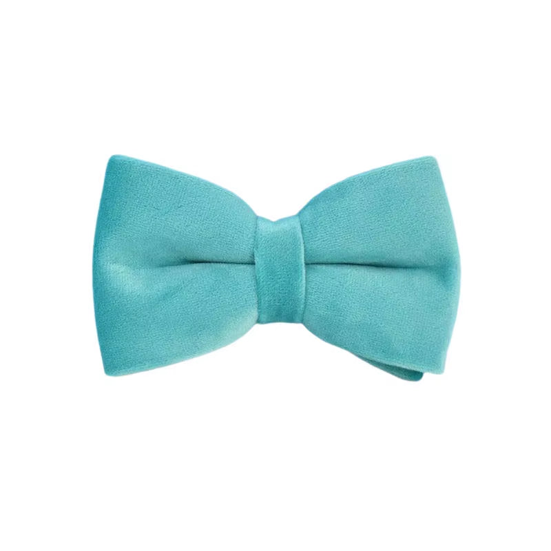 Matching leash for turquoise velvet set