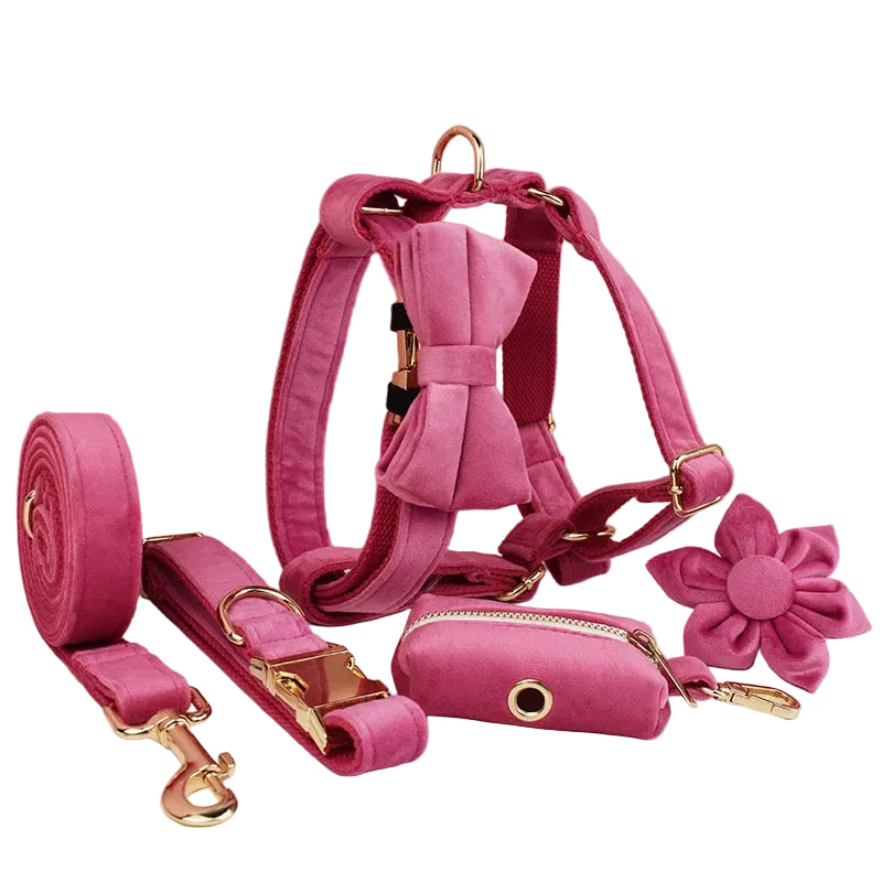 Rose red velvet dog harness set featuring coordinated accessories for stylish small dogs and cats