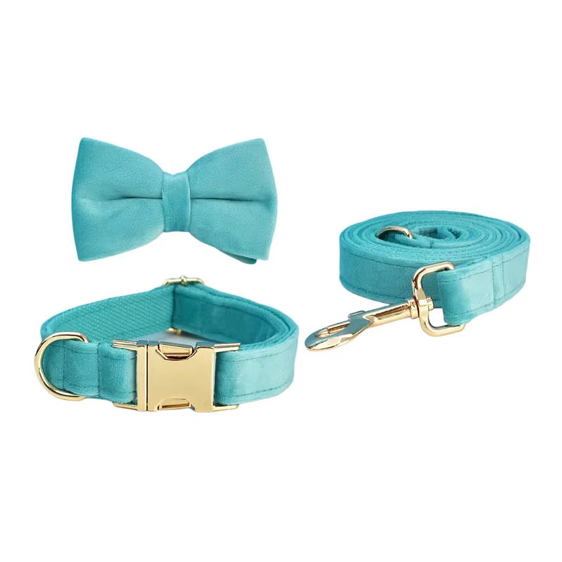 Small dog wearing turquoise velvet set