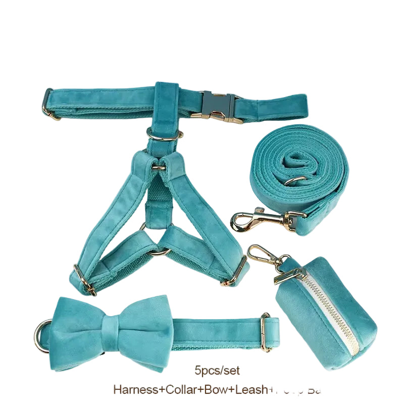 Adjustable turquoise velvet dog collar and leash set with decorative stone details