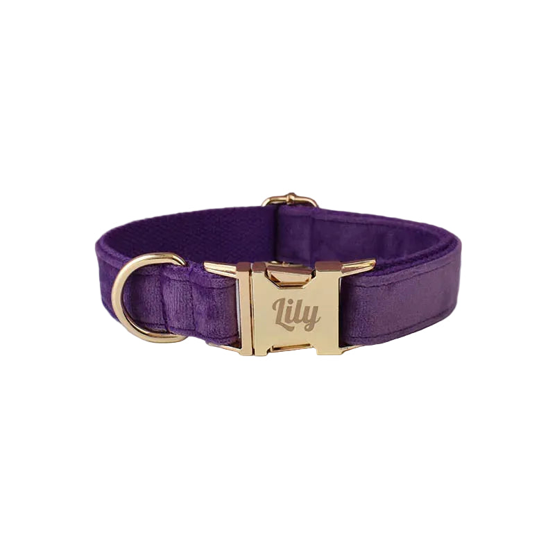 Purple velvet personalized dog collar with custom name engraving and matching luxury pet accessories