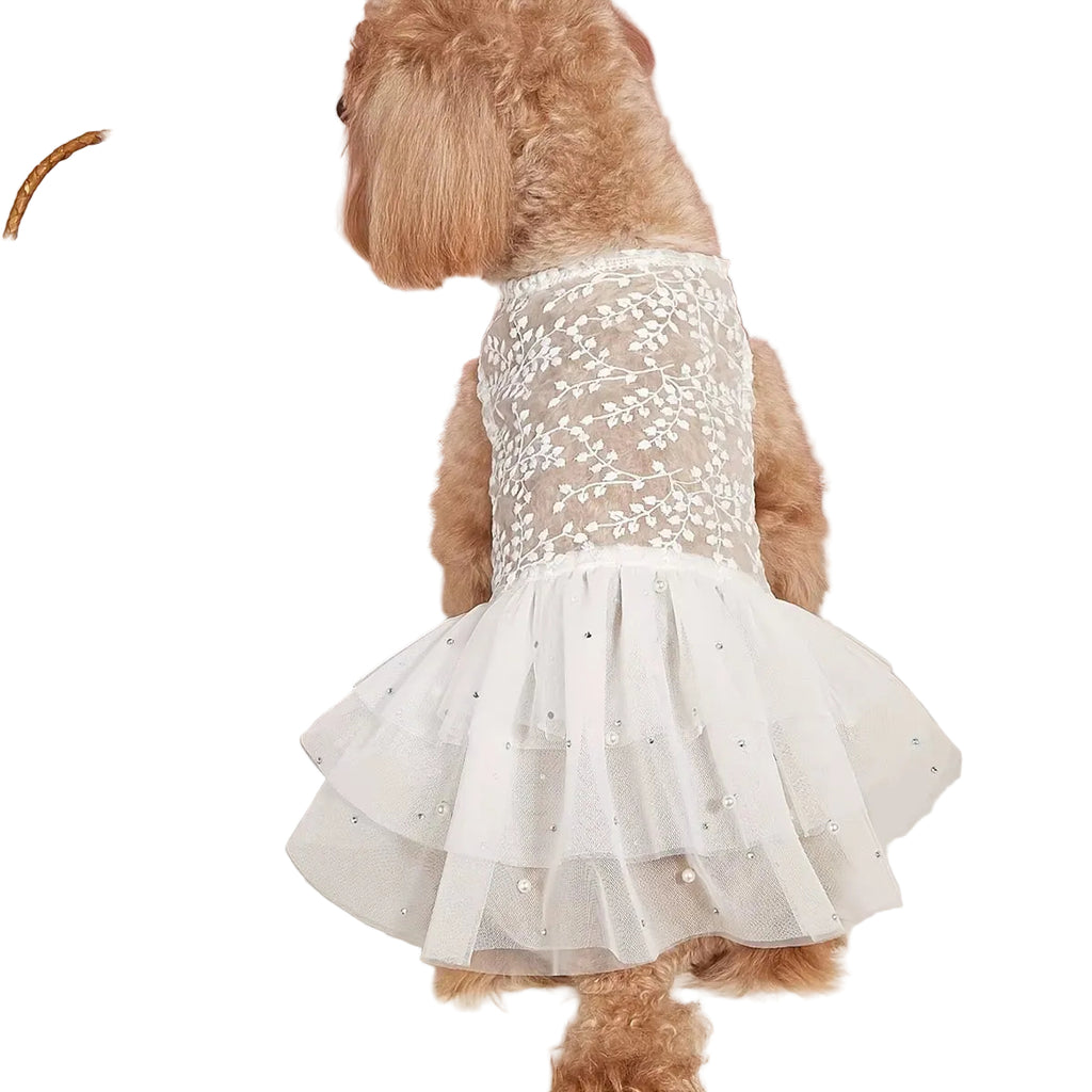 Small dog wearing the Paws For Royalty luxury dog wedding dress shown from the back, featuring a tailored formal design for special occasions