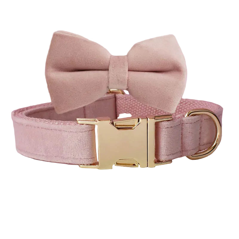 Paws For Royalty personalized baby pink velvet dog collar and bow tie set for small dogs and cats