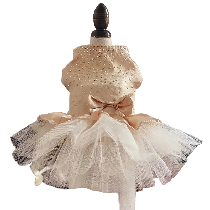Small dog wearing a beige polka dot summer dress with a boutique princess-style design