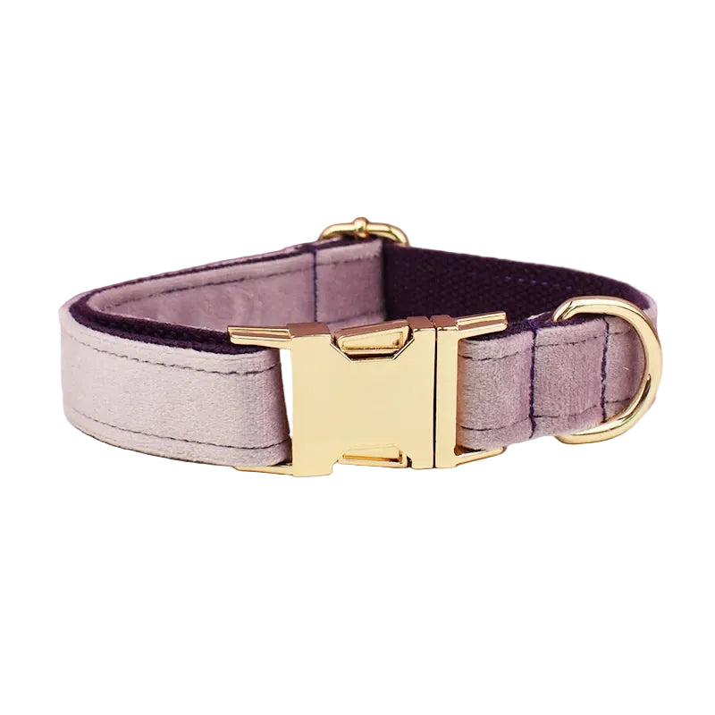 Lilac velvet dog collar featuring a personalized design for small dogs and cats