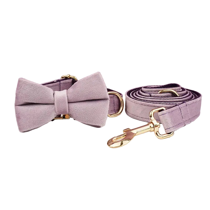 Lilac velvet personalized dog collar and matching bow tie set for small dogs and cats